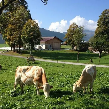 Ferienhaus Sonnblick Appartement